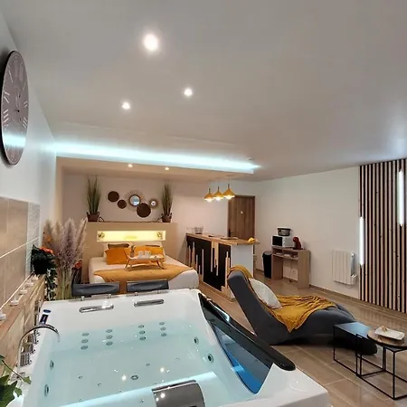 Studio Design Cocon Spa Prive A Deux Pas De Lille Bed and breakfast