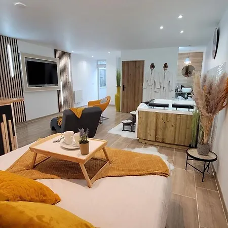 Studio Design Cocon SPA privé à deux pas de Lille Alojamento de Acomodação e Pequeno-almoço Bassee