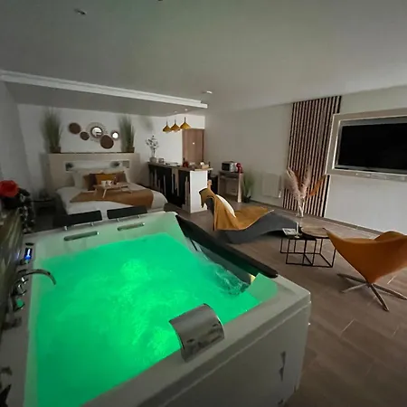 Studio Design Cocon Spa Prive A Deux Pas De Lille Bed and breakfast *