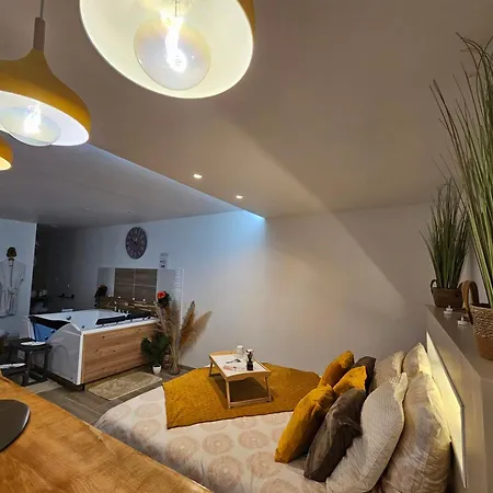 Studio Design Cocon SPA privé à deux pas de Lille Bassee