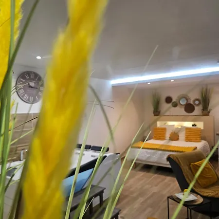 Studio Design Cocon SPA privé à deux pas de Lille Bassee